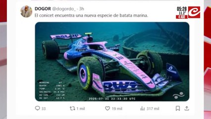 El Conicet encuentra una nueva especie de batata marina