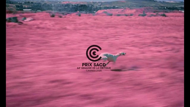 Ciudad sin sueño Bande-annonce VO STFR