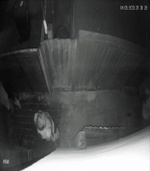 Peterborough woman hits neighbour with spade