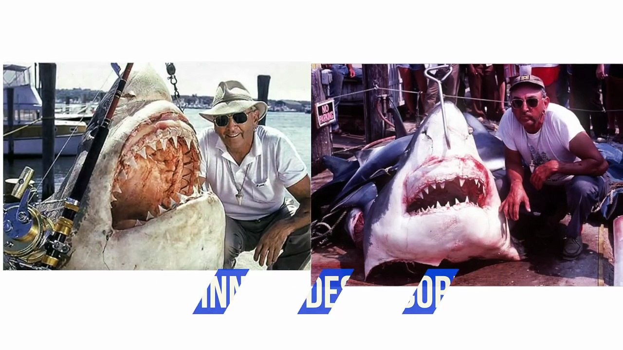LES PLUS GROSSES CAPTURES DU MONDE