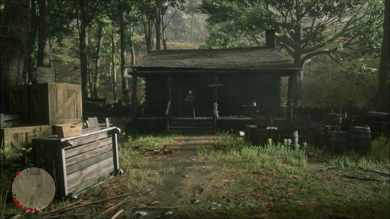 RDR 2: C3 # 31 - No Trespassing (Hermit Encounter)