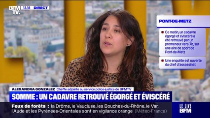 Un corps retrouvé égorgé et éviscéré par un promeneur dans la Somme