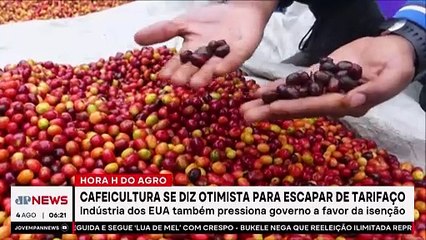 Setor da cafeicultura busca inclusão em exceções do tarifaço de Trump
