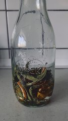 Morning Hydration 💧🧊