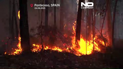 Brände im Nordwesten Spaniens zerstören Hunderte Hektar Wald