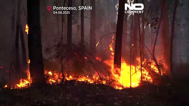 Incendi nel nord-ovest della Spagna distruggono centinaia di ettari di foresta