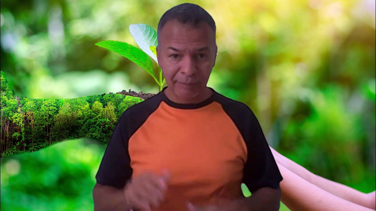 meio ambiente