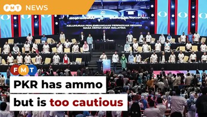 PKR has ammo but is too rational and cautious, says analyst