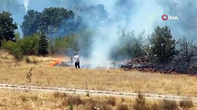 Kırklareli’nde anızlık alanda çıkan yangın ağaçlık alana sıçradı: Avrupa otoyolu ulaşıma kapandı