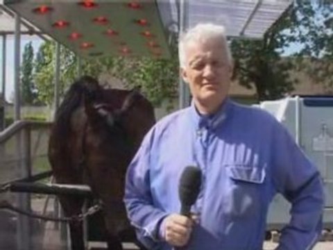 Prix Nostalgie (Prix Jacques de Saint Sauveur)