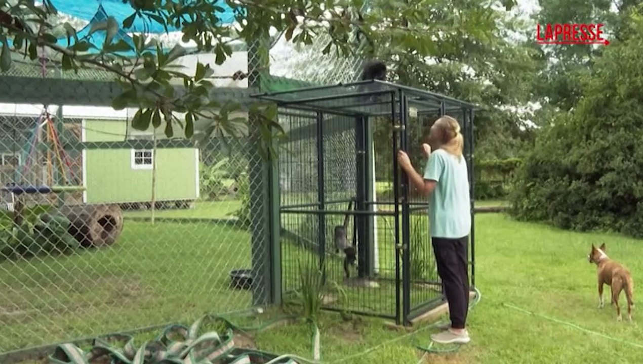 Santuario delle scimmie aiuta veterani a combattere disturbo da stress post-traumatico