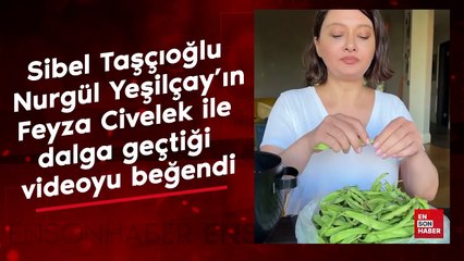 Sibel Taşçıoğlu Nurgül Yeşilçay’ın Feyza Civelek ile dalga geçtiği videoyu beğendi