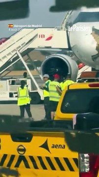 Collision en plein vol entre un avion de ligne et un oiseau