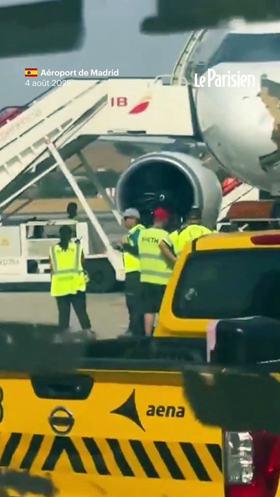 Collision en plein vol entre un avion de ligne et un oiseau