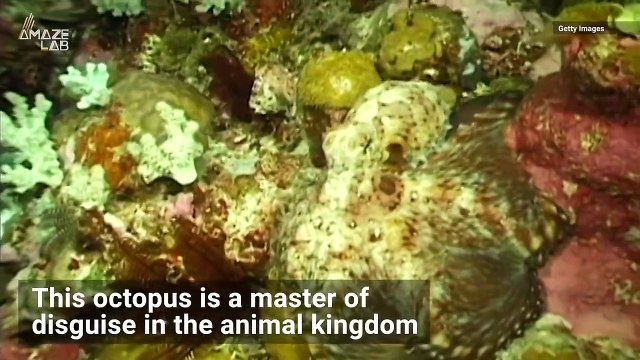 Are Astronauts Actually Younger After Returning from Orbit?