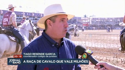 Conheça a raça de cavalo que vale milhões