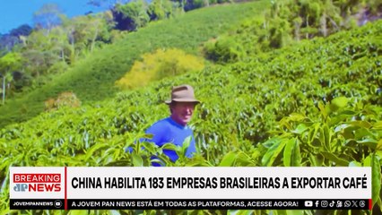 Atos pró-Bolsonaro tomam ruas em todo o Brasil | BREAKING NEWS