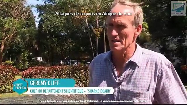 Actualités : Afrique du Sud les requins attaquent (2015)