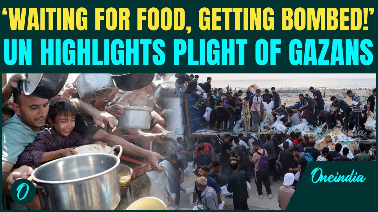 Gaza Aid Attacks: Gaza Aid Attacks Expose Humanitarian Collapse in Conflict Zone