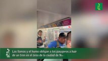 Las llamas y el humo obligan a los pasajeros a huir de un tren en el área de la ciudad de Nueva York