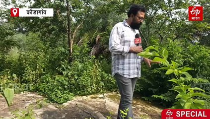 कोंडागांव में जुगाड़ के कमरों में लग रहा स्कूल, ना भवन ना ही सुविधाएं, सुरक्षा भी भगवान भरोसे