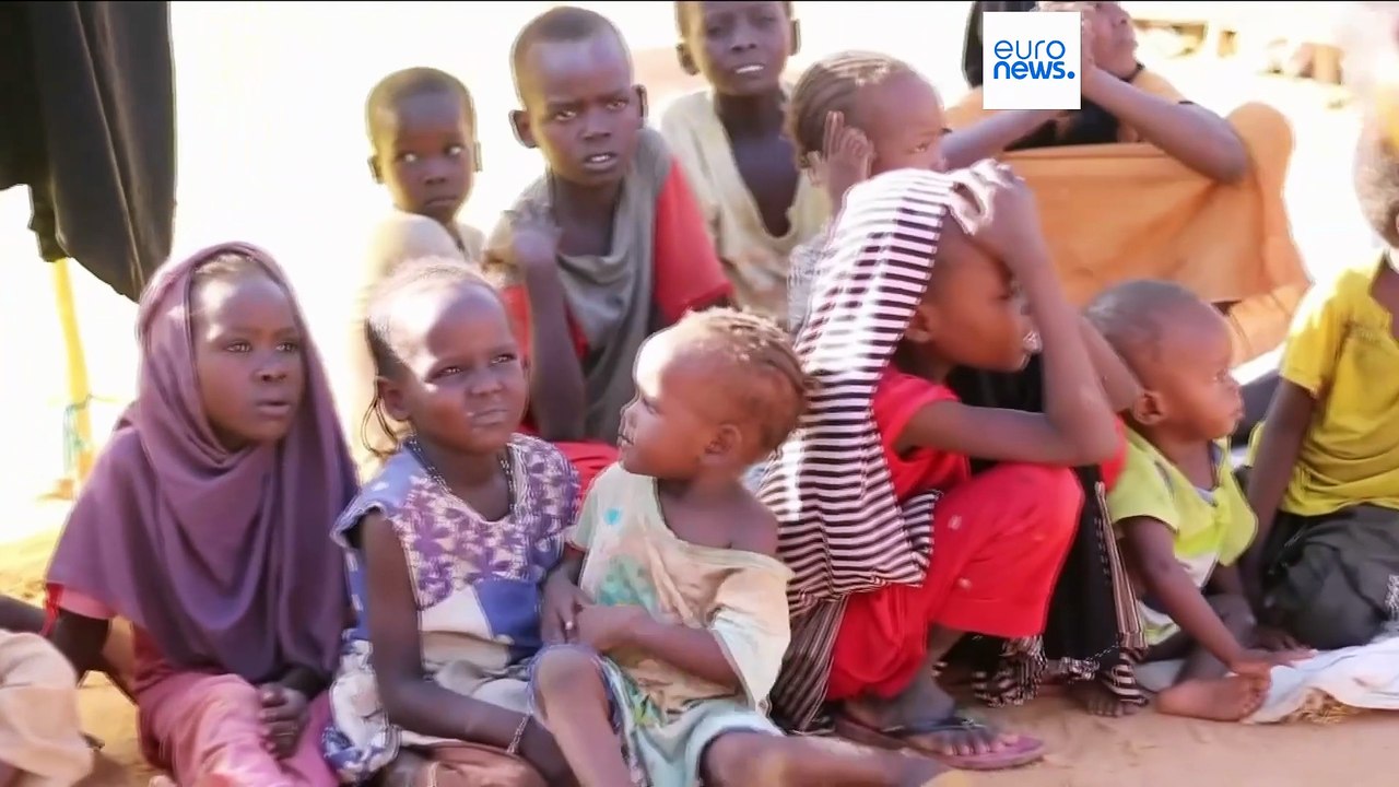 الجوع يجبر السودانيين في مدينة الفاشر على أكل علف الحيوانات