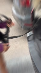 Sortir avec un chien c’est gérable ! Mais deux il faut s’organiser, après tout on est une grande famille de 5 🤩🐻‍❄️🐕🏠