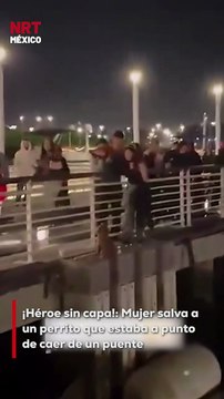 Una mujer se volvió viral tras arriesgarse para rescatar a un perrito que estaba atorado y a punto de ca3r de un puente. Todo quedó captado en video y miles la aplauden por su valentía.