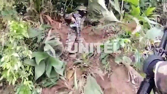 Así fue el ataque con disparos a agentes de Umopar durante una intervención a un laboratorio de droga en el trópico