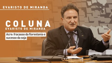 Acre: fracasso da florestania e sucesso da soja