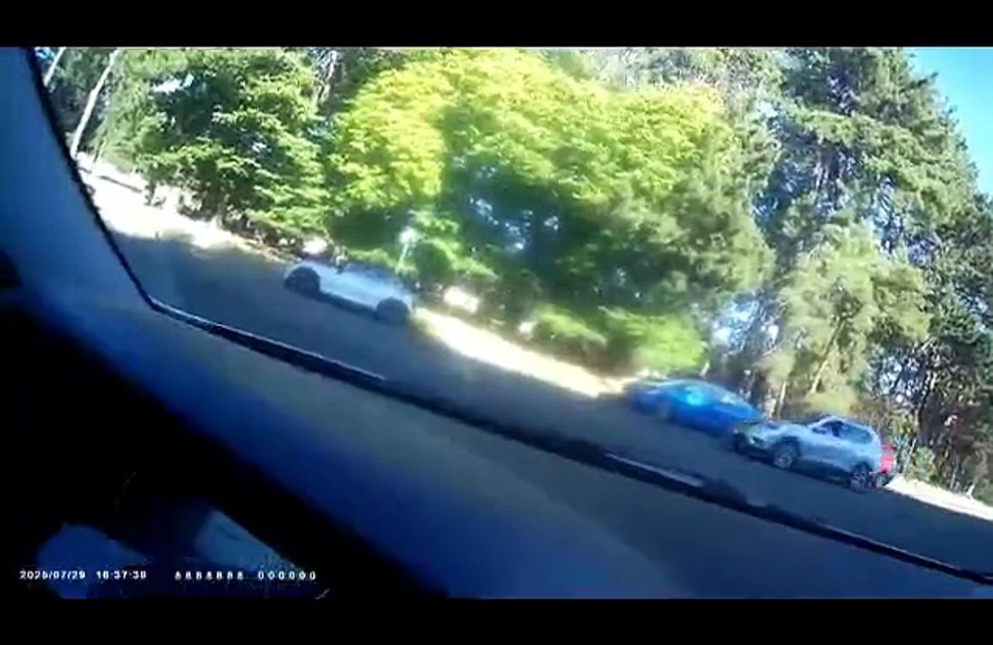 7/29/2025B, (Targeted Individuals & Perp TV) Loitering PERPS Get Globally Shared For Pattern Scanning