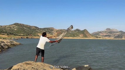 How to grind olives in the traditional mill in Jabala and extract the oil