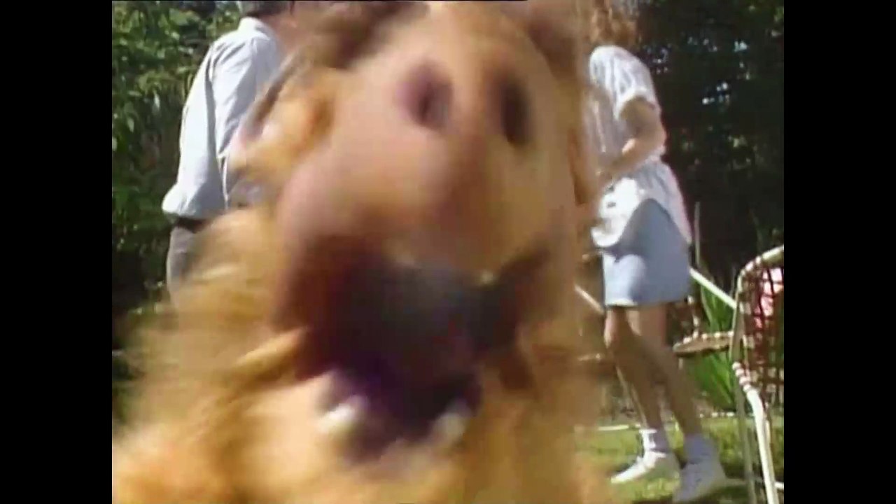 ALF Staffel 2 Folge 26 'Nebenjob gesucht' #Deutsch #HD
