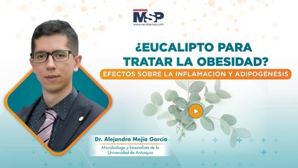 Eucalipto para tratar la obesidad