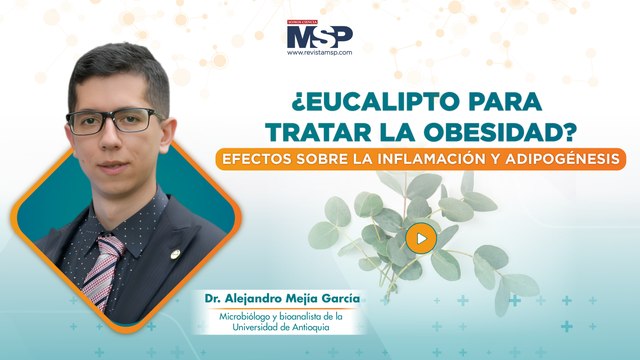 Eucalipto para tratar la obesidad