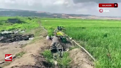 Gönen Ovası'nda çeltik tarlaları susuz kaldı