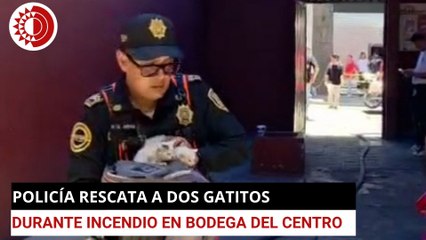 Policía rescata a dos gatitos durante incendio en bodega del Centro