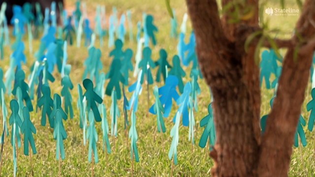 The Northern Territory's 'horrendous' scourge of sexual violence has victims and frontline services sounding the alarm