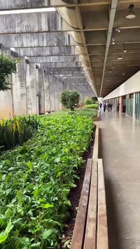 UnB: Curso gratuito para professores de português tem inscrições abertas