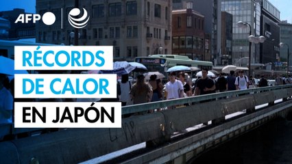 Ola de calor extremo en Japón: rompen 17 récords en un día