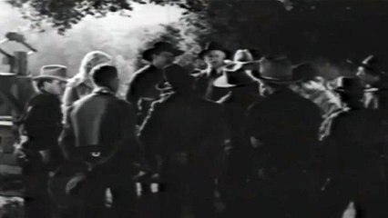 Wings of the Past – A Hawk's Journey