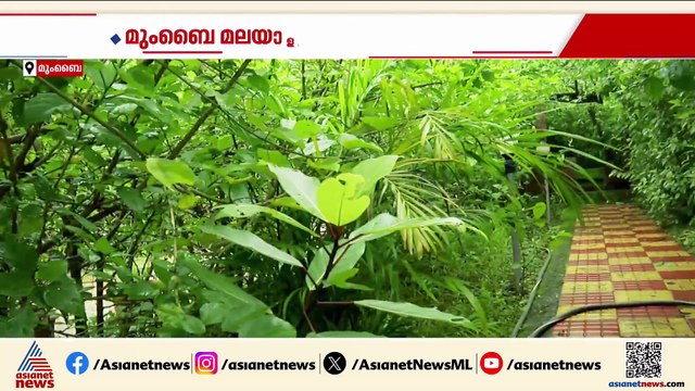 നാട് പറിച്ചുനട്ടപോലൊരു മൂന്നര ഏക്കർ; മറുനാട്ടിലൊരു കുഞ്ഞ് കേരളം സൃഷ്ടിച്ച് ഒരു മലയാളി