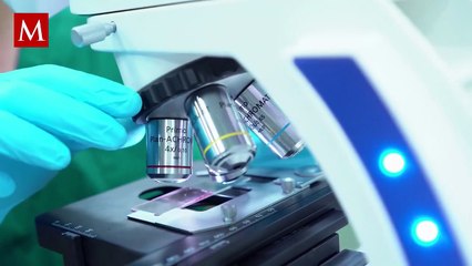 ¿El pollo se lava o no se lava? Dalilah Polanco inicia el debate en redes sociales