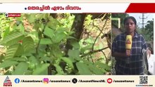 ധര്‍മ്മസ്ഥല വെളിപ്പെടുത്തൽ; ഏഴാം ദിവസവും തെരച്ചിൽ