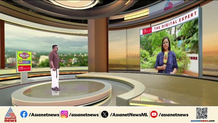 പാലക്കാട് ശക്തമായ മഴ തുടരുന്നു; പലയിടങ്ങളിലും വാഹനഗതാഗതം തടസ്സപെട്ടു