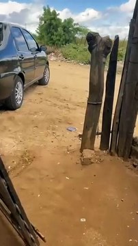 Moradora reclama de acúmulo de lixo e galeria a céu aberto em frente à própria casa