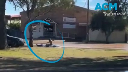 Man spotted casually canoeing through flood-hit Gunnedah