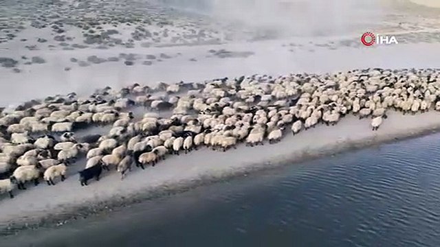 Türkiye'nin zirvesinde görenlerin bir masal diyarı sandığı göçerlerin manzarası kamerada