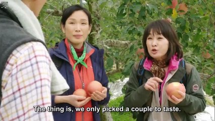 Modern Farmer. S1E8. With English subs