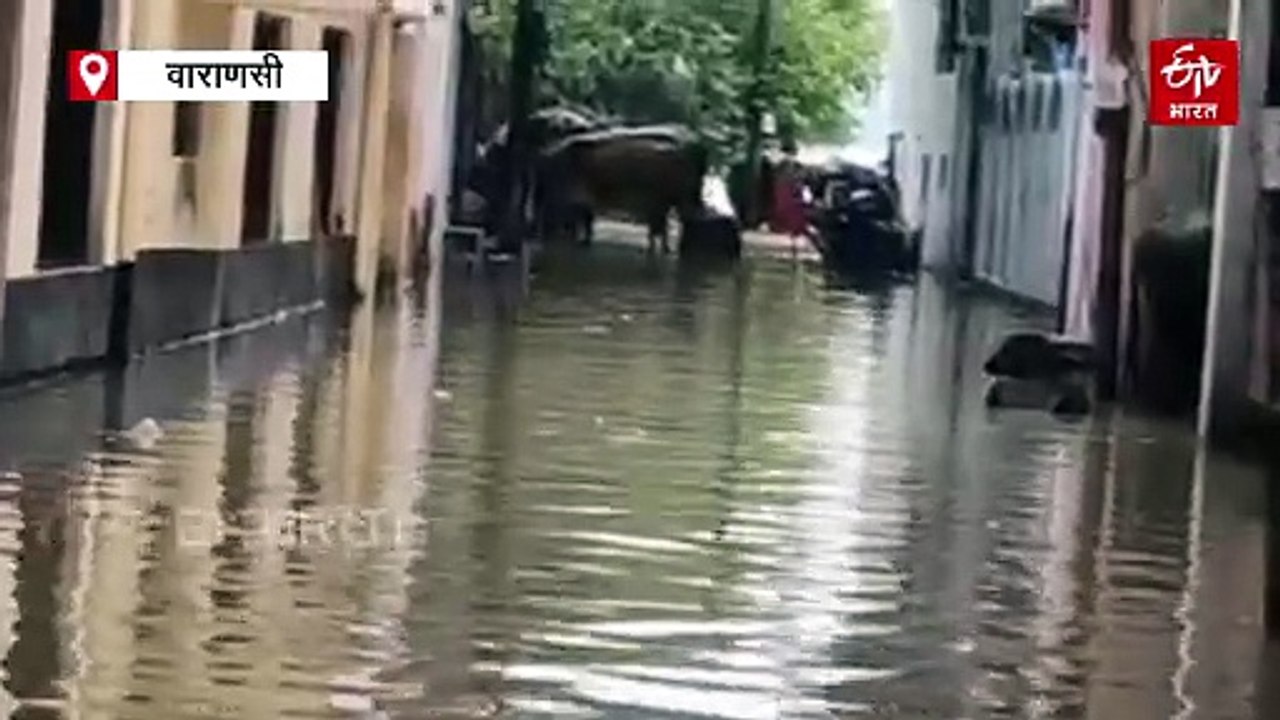 यूपी के 14 जिले बाढ़ की चपेट में; 40 की मौत, प्रयागराज में यमुना पुल से धीमी रफ्तार में गुजारी जा रहीं ट्रेनें, बनारस की कॉलोनियों में घुसा गंगा का पानी